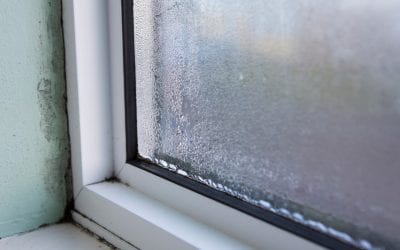 Signs of Mold in the Home